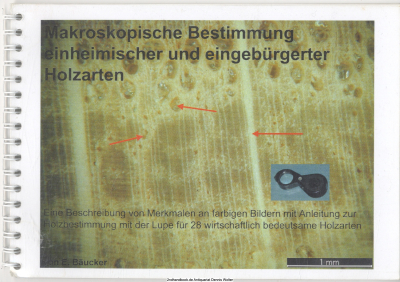Makroskopische Bestimmung einheimischer und eingebürgerter Holzarten : eine Beschreibung von Merkmalen an farbigen Bildern mit Anleitung zur Holzbestimmung mit der Lupe für 28 wirtschaftlich bedeutsame Holzarten