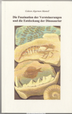 Die Faszination der Versteinerungen und die Entdeckung der Dinosaurier