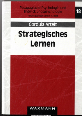 Strategisches Lernen 