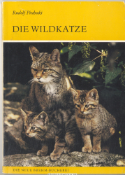 Die Wildkatze : Felis silvestris